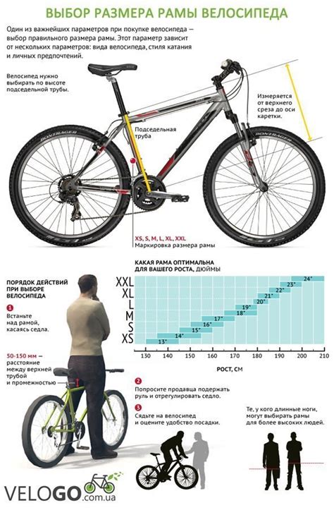 Как правильно подобрать размер и раму велосипеда