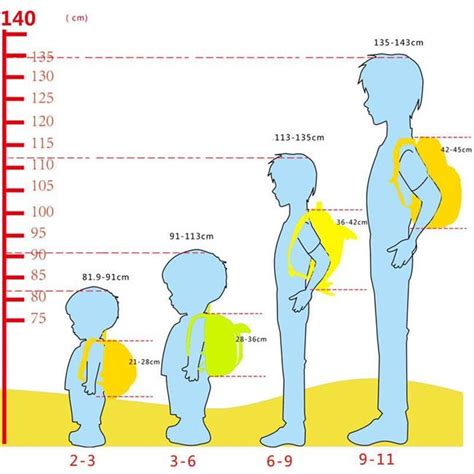 Как правильно подобрать размер рюкзака для первоклассника