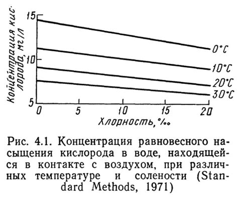 Как предметы достигают равновесного состояния в воде