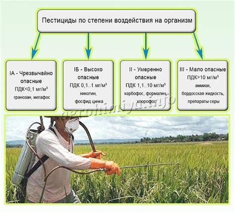 Как предотвратить использование опасных для жуков пестицидов