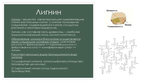 Как предотвратить образование лигнина в древесине