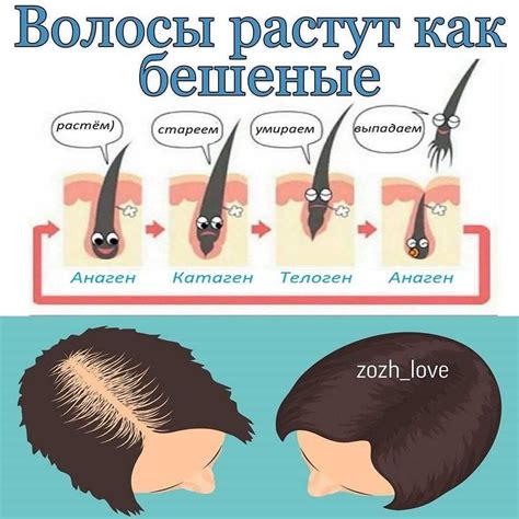 Как прекратить рост волос на теле: полезные советы и рекомендации для мужчин