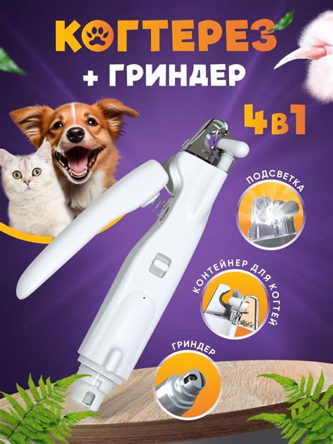 Как преуспеть с гриндером Go Pets: полезные советы