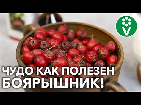 Как приготовить идеальную пасту: шаг за шагом