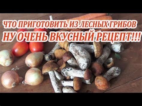 Как приготовить икру из грибов белых: рецепты и советы