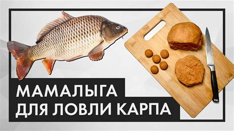 Как приготовить мамалыгу для рыбалки