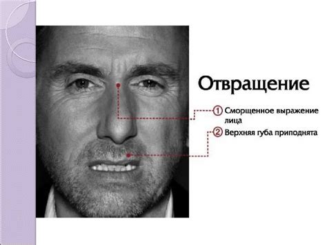 Как придать жабке желаемое выражение лица