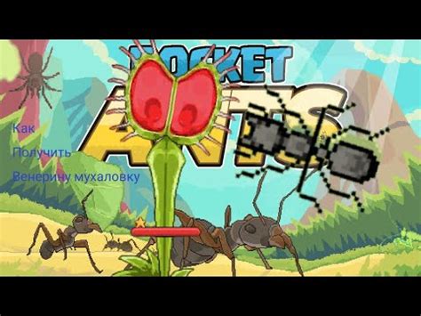 Как приручить венерину мухоловку в игре Pocket Ants