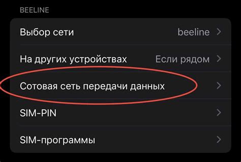 Как проверить Вай-Фай адрес на iPhone