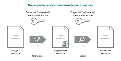 Как проверить номер ЭПЦ: инструкция и советы для проверки электронного платежного кода