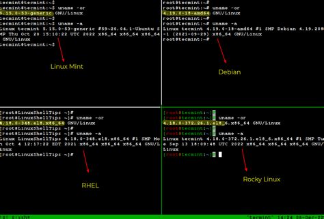 Как проверить поддержку в ОС Linux