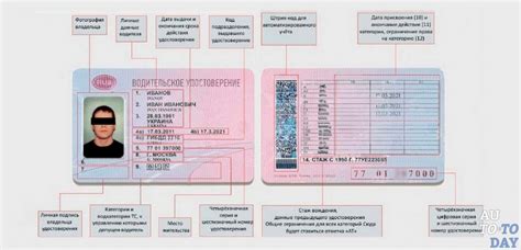 Как проверить подлинность номера и серии водительских прав