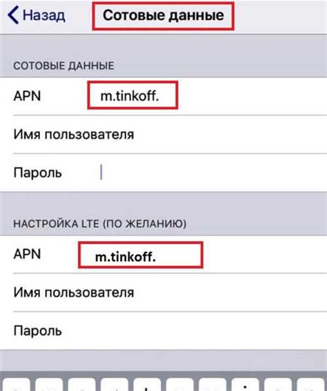 Как проверить правильность APN на iPhone