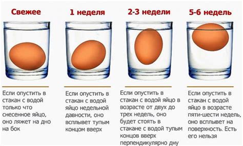 Как проверить свежесть яйца в воде