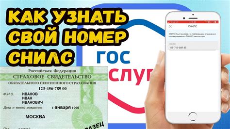 Как проверить свои начисления по СНИЛС на официальном сайте пенсионного фонда