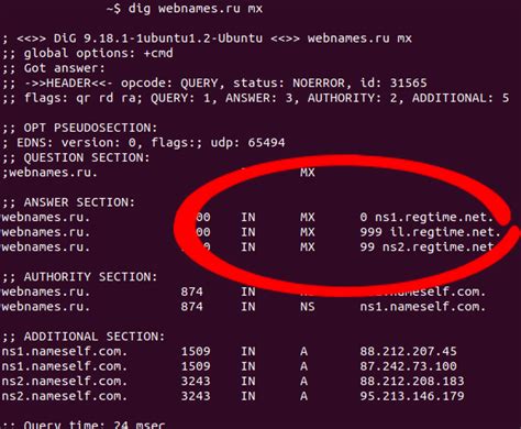 Как проверить текущие DNS записи