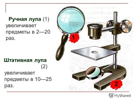 Как проверить увеличение штативной лупы