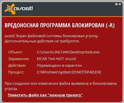 Как проверить эффективность антивируса: основные методы