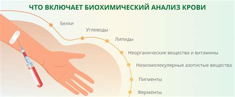 Как проводится анализ рн крови