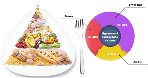 Как производится анализ содержания жиров в пищевых продуктах