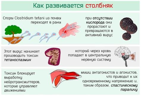 Как происходит диагностика столбняка