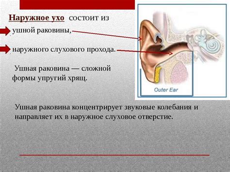 Как происходит заложенность ушей при простуде?