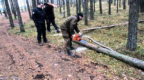 Как происходит распиливание дерева