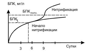 Как работает анализ БПК 5?