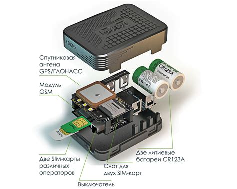 Как работает и что может GSM модуль для ворот: полный обзор