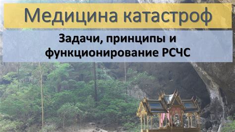 Как работает лигаза: принципы и функционирование