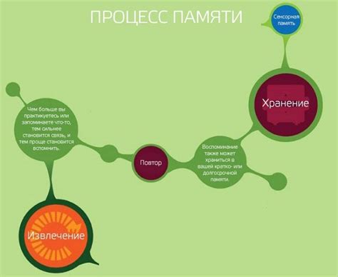 Как работает память мозга