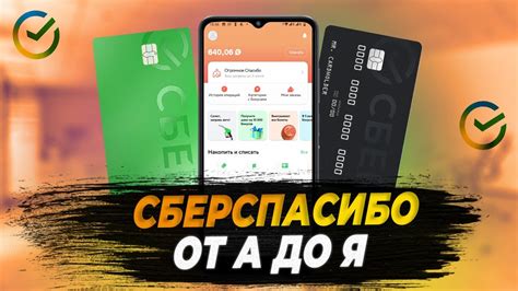 Как работает программа СберСпасибо