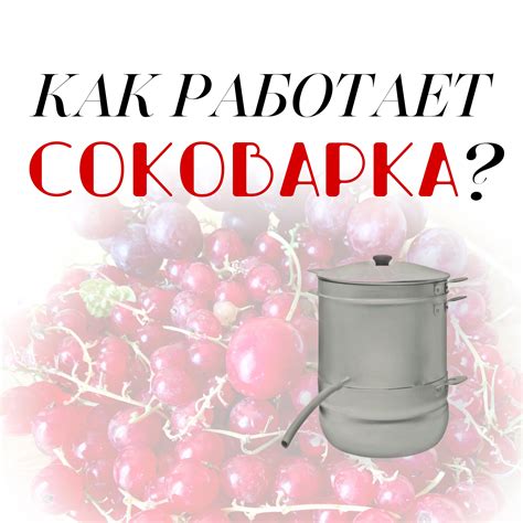 Как работает соковарка: основные компоненты