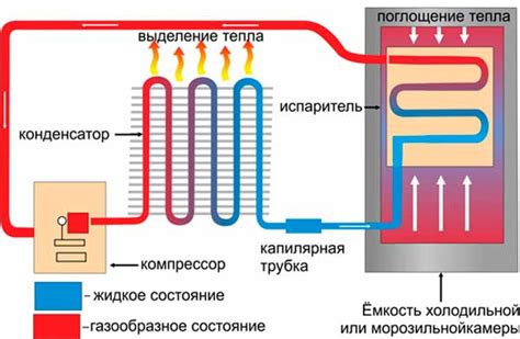 Как работает холодильник Electrolux