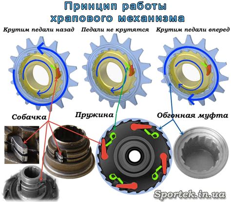 Как работает храповой механизм