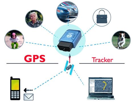 Как работает GPS маяк для собаки?