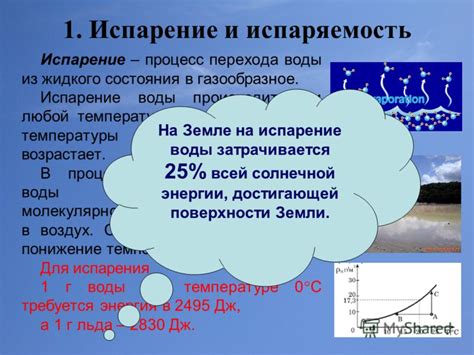 Как раннее испарение воды влияет на экосистемы