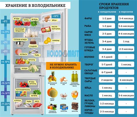 Как распределить продукты по полкам в холодильнике Стинол 101