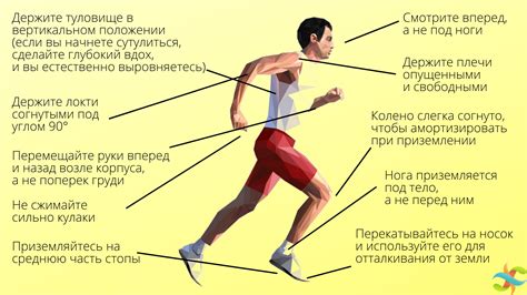 Как расслабить дыхательные мышцы во время бега