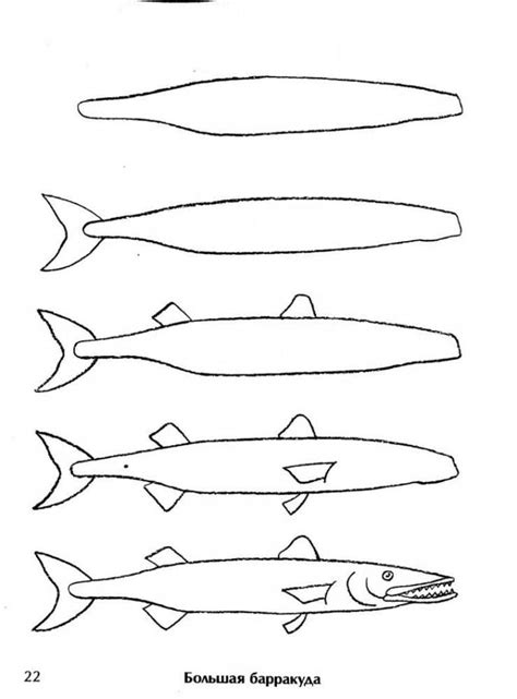 Как рисовать карандашом щуку