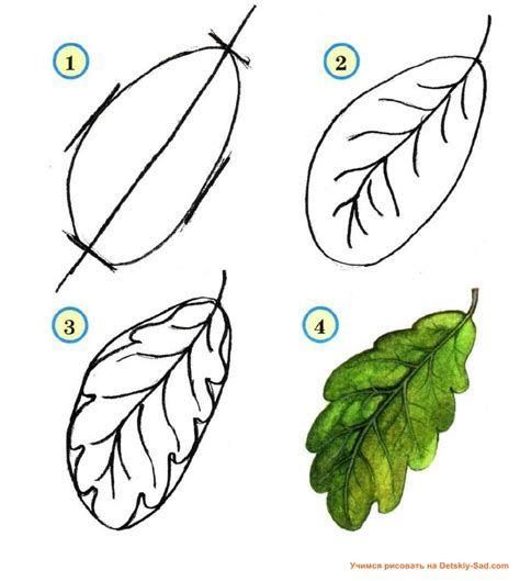 Как рисовать листок: советы и инструкция для начинающих