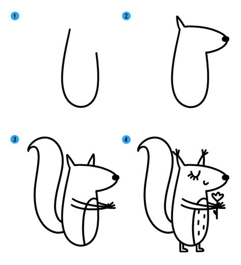 Как рисовать нос белки: важные шаги и советы