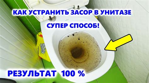 Как самостоятельно освободить унитаз от проблемы