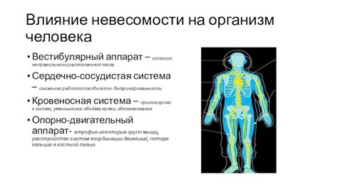 Как свести к минимуму влияние гравитации на организм