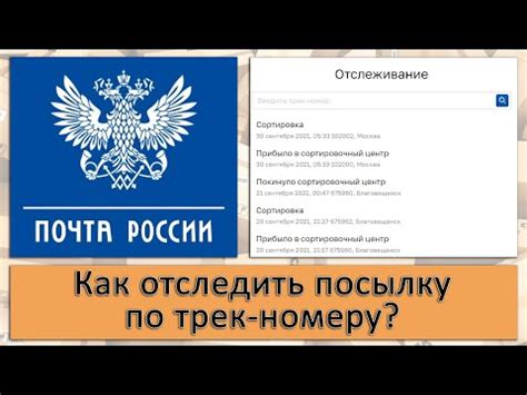 Как связаться с поддержкой Почты России по вопросам отслеживания посылки на iPhone?