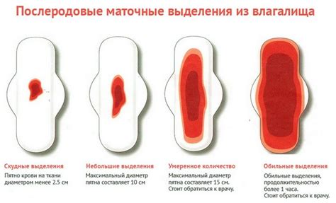 Как сдать кровь после родов: инструкция для новых мам