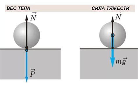Как сила тяжести влияет на объекты?