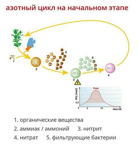 Как следить за показаниями давления