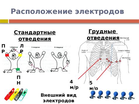 Как снять ЭКГ: подробная инструкция и рекомендации