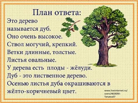 Как создать паспорт для дерева: учебный материал 2 класса по предмету окружающий мир